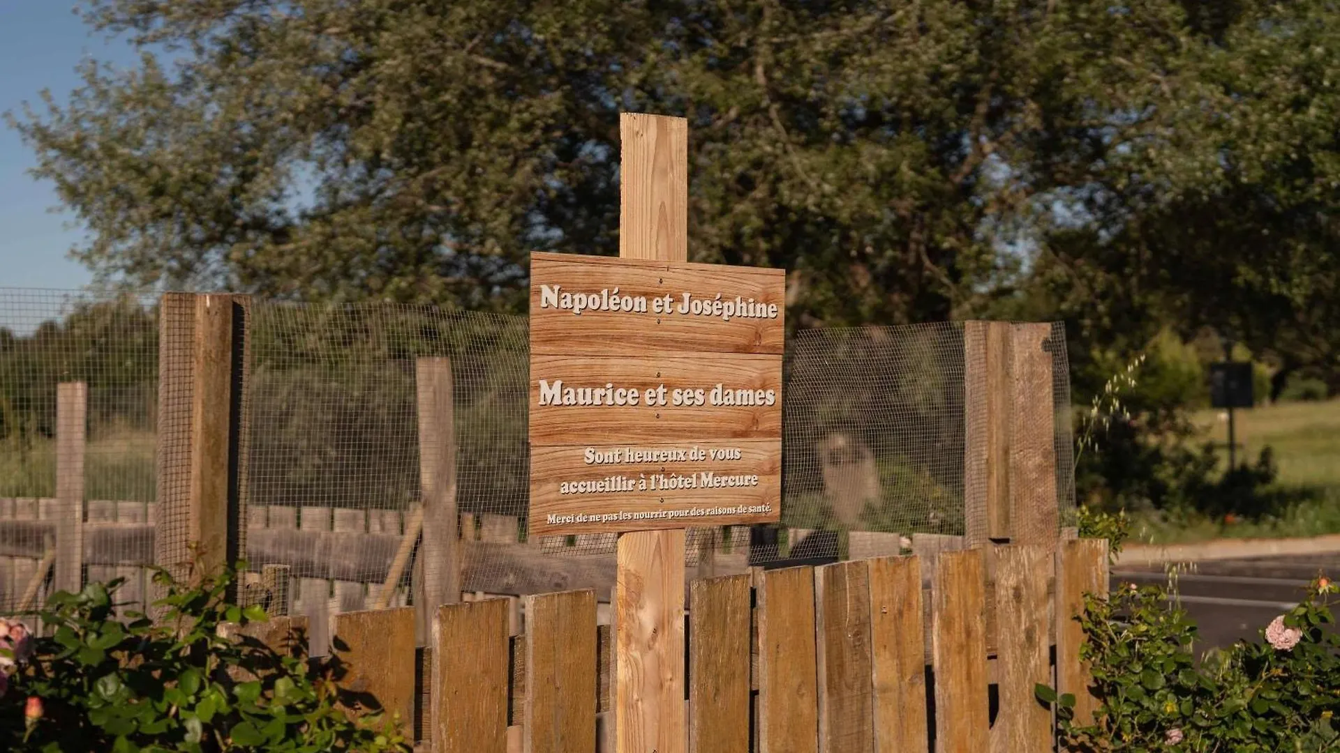 Mercure Aix-En-Provence Sainte-Victoire Шатонёф-ле-Руж Отель